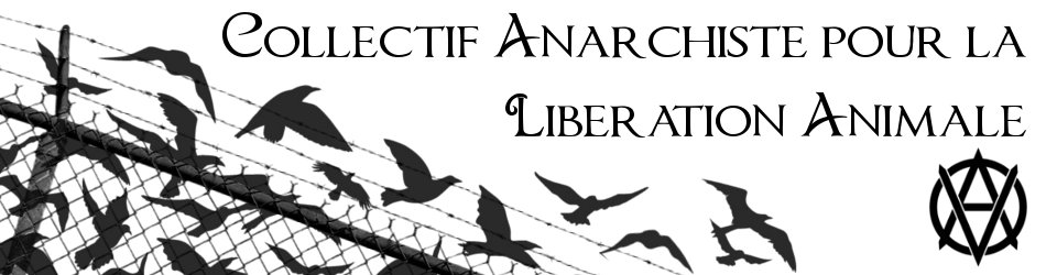 Collectif Anarchiste pour la Libération Animale